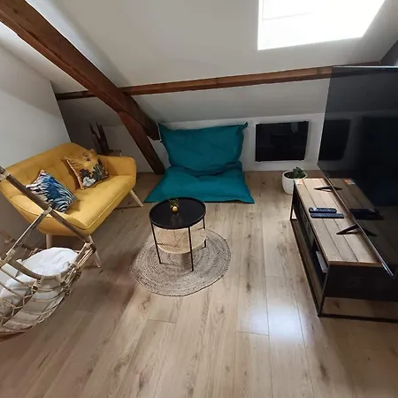 Nid De Charme Pour Soiree Romantique アパート ディジョン